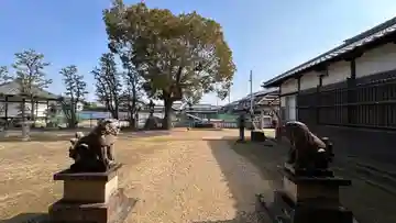 春日神社(奈良県)