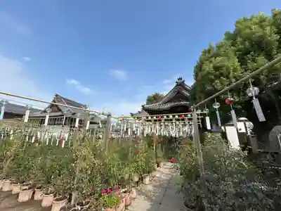 おふさ観音（観音寺）(奈良県)