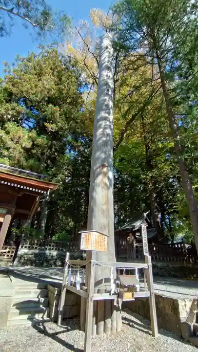 諏訪大社下社秋宮(長野県)