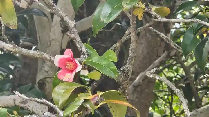 総見院(京都府)