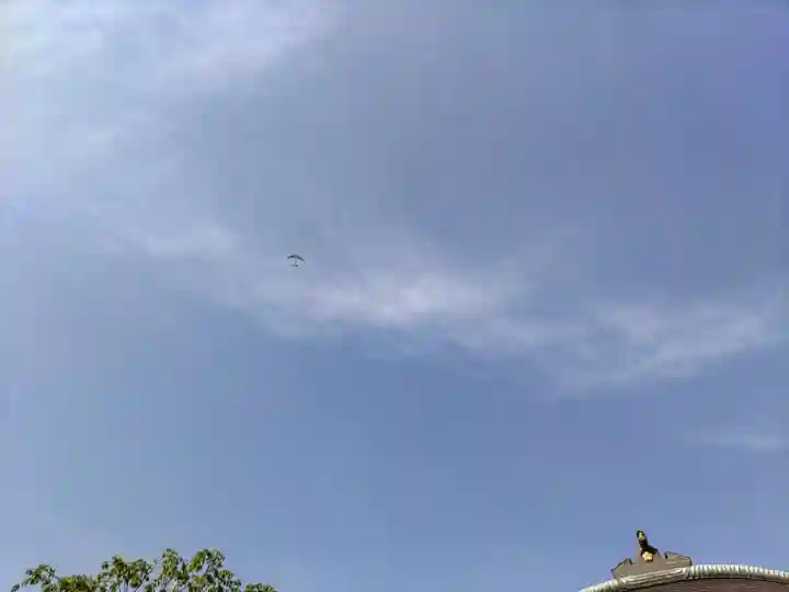 宝勝山 南藏院 蓮光寺の自然