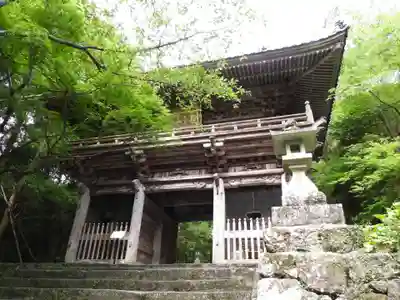 竹林寺(高知県)