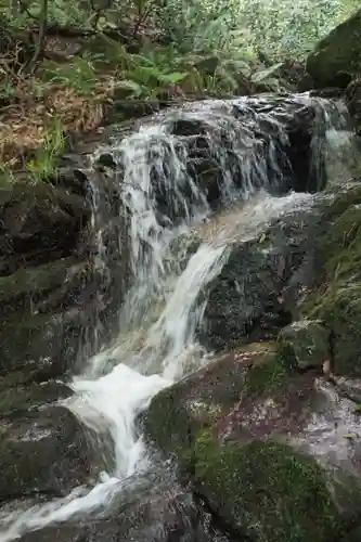 白山比咩神社の自然