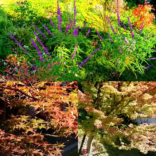 寿量山　速成寺の自然