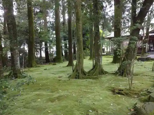 都農神社(宮崎県)