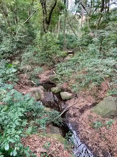 明治神宮(東京都)
