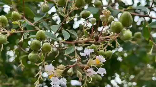 延命寺(宮城県)