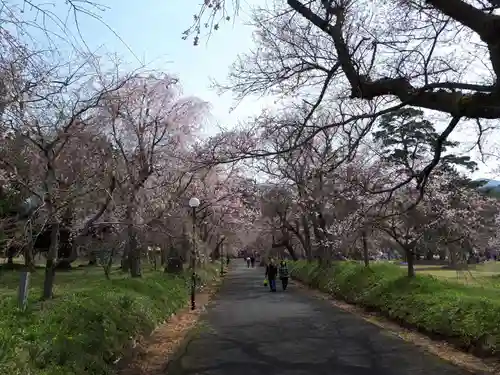 徳佐八幡宮の自然