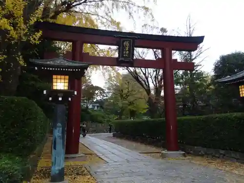 根津神社の鳥居