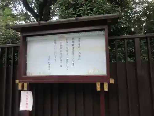 浅草寺(東京都)