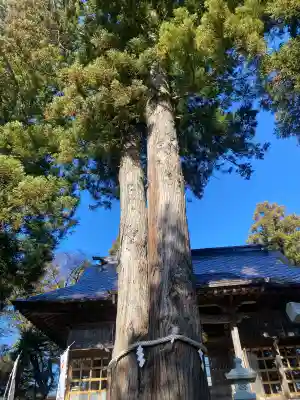 高司神社〜むすびの神の鎮まる社〜(福島県)
