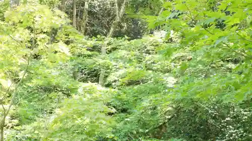 詩仙堂（丈山寺）の自然