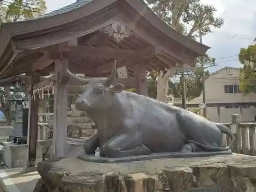 兵主神社の狛犬