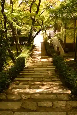 常寂光寺(京都府)