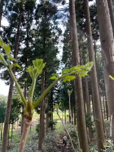 🌸乙部八幡神社(北海道)