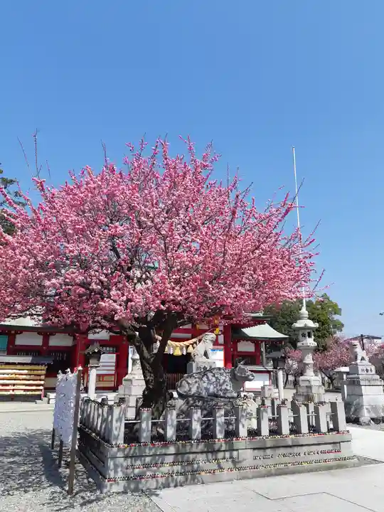 上野天満宮(愛知県)