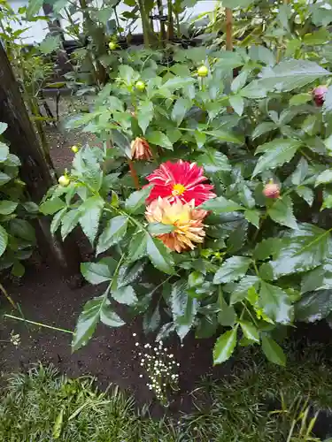 上野東照宮の自然