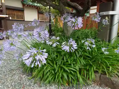 日枝神社(静岡県)