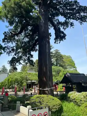 六地蔵寺(茨城県)