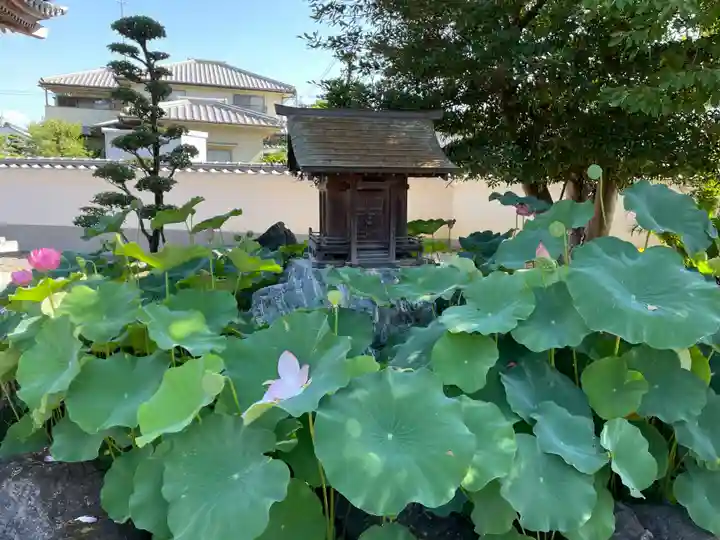 西林寺(愛媛県)