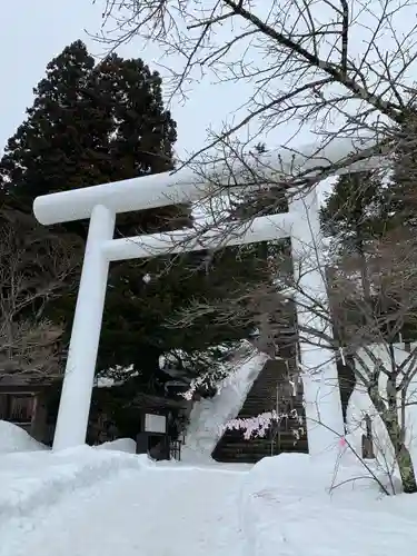 土津神社｜こどもと出世の神さまの鳥居