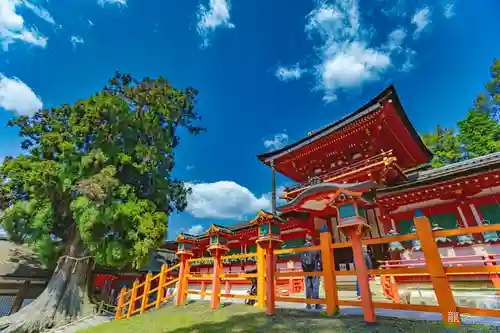 春日大社(奈良県)