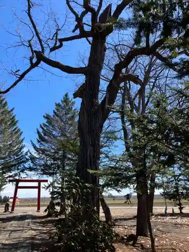清川神社(北海道)