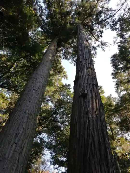 間々田八幡宮のその他建物