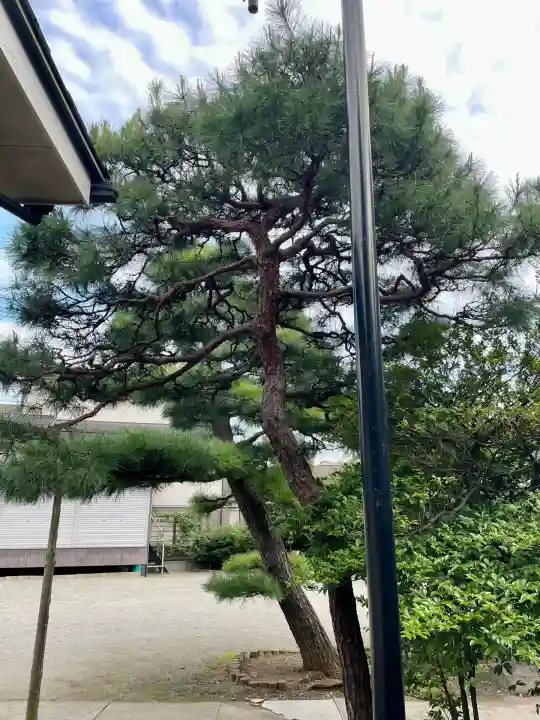 中田出世稲荷神社(東京都)