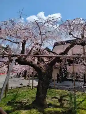 毘沙門堂門跡(京都府)