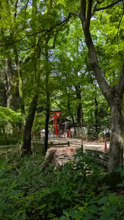 賀茂御祖神社(下鴨神社)(京都府)