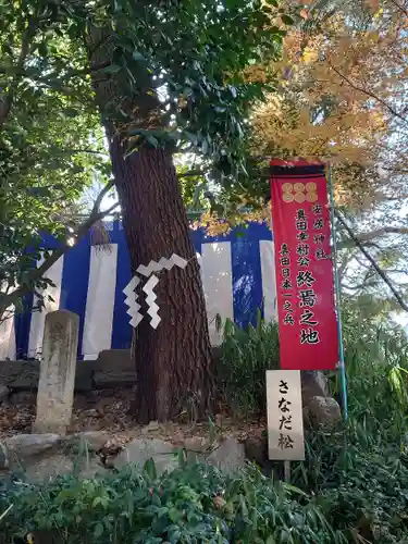 安居神社の自然