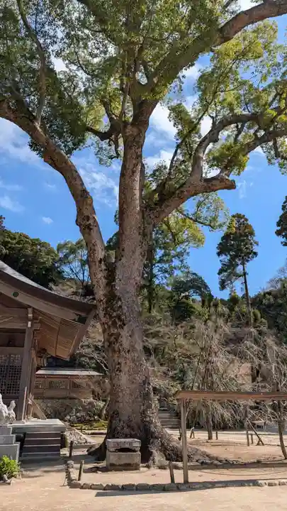 宝満宮竈門神社(福岡県)