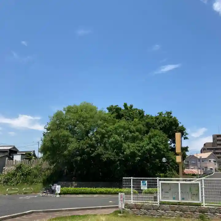 君貢神社の景色