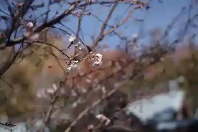 山梨縣護國神社(山梨県)