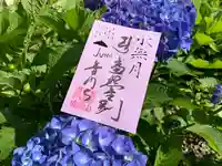 普門寺(切り絵御朱印発祥の寺)の御朱印