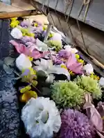 鳩森八幡神社の手水舎