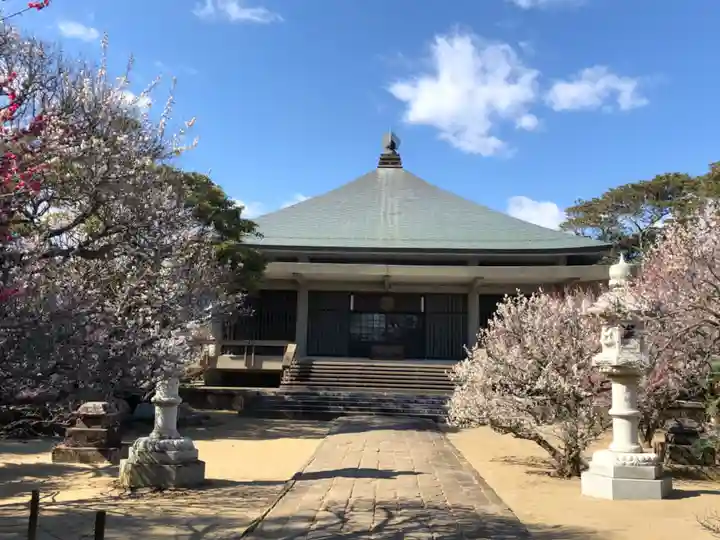 浄国寺の本殿・本堂