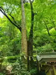 貴船神社(京都府)
