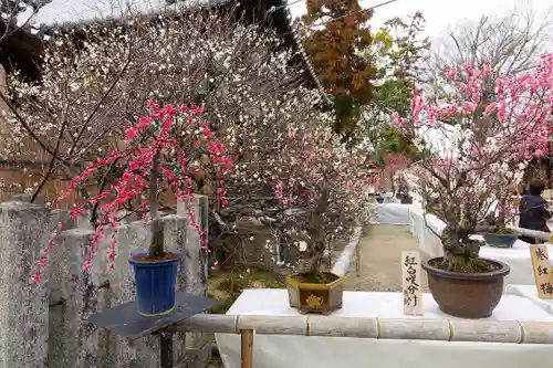 菅原天満宮（菅原神社）の自然