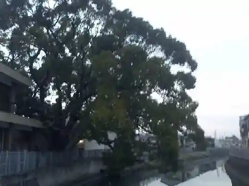 三島神社の自然
