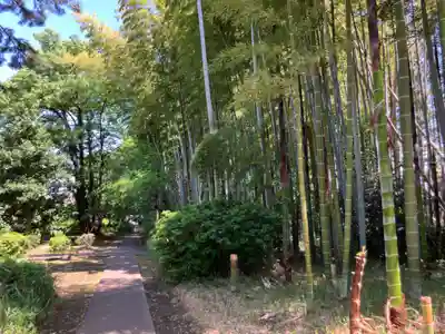 妙寿寺(東京都)