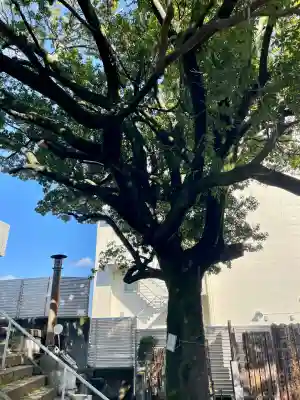 仙寿院の{uncategorized: "未分類", other: "その他", undefined: "問題あり", building: "その他建物", grave: "お墓", sacred_gate: "鳥居", guardian: "狛犬", statue: "像", buddha: "仏像", history: "歴史", nature: "自然", garden: "庭園", animal: "動物", pagoda: "塔", temizu: "手水舎", mountain_gate: "山門・神門", sanctuary: "本殿・本堂", subordinate: "末社・摂社", art: "芸術", scenery: "景色", jizo: "地蔵", ema: "絵馬", goshuin: "御朱印", omikuji: "おみくじ", items: "授与品その他", amulet: "お守り", goshuincho: "御朱印帳", eats: "食事", festival: "お祭り", votive_dance: "神楽", shichigosan: "七五三参", wedding: "結婚式", experience: "体験その他", initially: "初詣", around: "周辺", anti_infection: "感染症対策"}