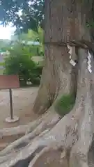 素鵞神社の庭園