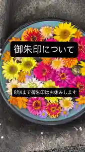 御朱印についてお知らせを致します。
明日8/11から8/14まで、御朱印はおやすみします!
本日、御朱印の出た数と初穂料が全く合わず、おつりも無くなっておりました。
これは犯罪です。防犯カメラを確認してしかるべき対応をさせていただきます。
今後の対応についてはお盆後にお知らせをします。