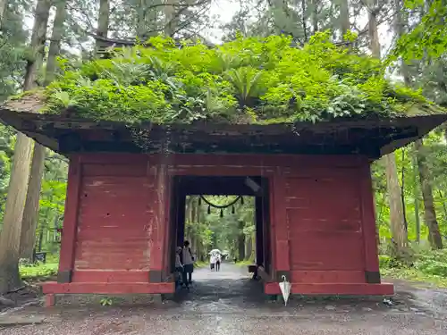 戸隠神社奥社(長野県)
