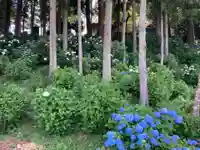 竹原神社(茨城県)