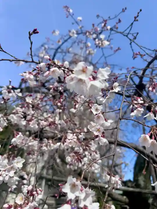 長建寺の{uncategorized: "未分類", other: "その他", undefined: "問題あり", building: "その他建物", grave: "お墓", sacred_gate: "鳥居", guardian: "狛犬", statue: "像", buddha: "仏像", history: "歴史", nature: "自然", garden: "庭園", animal: "動物", pagoda: "塔", temizu: "手水舎", mountain_gate: "山門・神門", sanctuary: "本殿・本堂", subordinate: "末社・摂社", art: "芸術", scenery: "景色", jizo: "地蔵", ema: "絵馬", goshuin: "御朱印", omikuji: "おみくじ", items: "授与品その他", amulet: "お守り", goshuincho: "御朱印帳", eats: "食事", festival: "お祭り", votive_dance: "神楽", shichigosan: "七五三参", wedding: "結婚式", experience: "体験その他", initially: "初詣", around: "周辺", anti_infection: "感染症対策"}