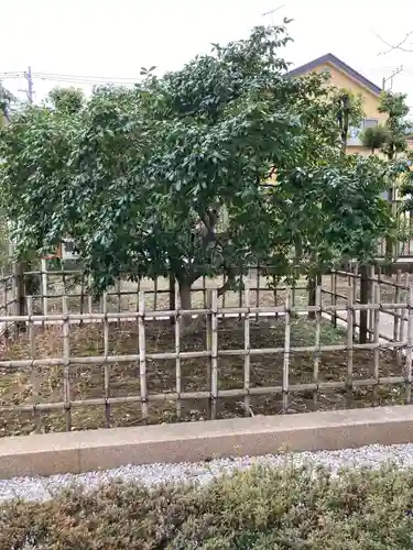 星谷寺(神奈川県)