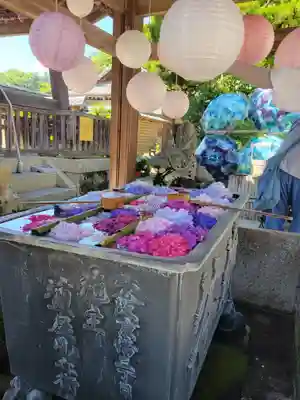 柳谷観音　楊谷寺(京都府)